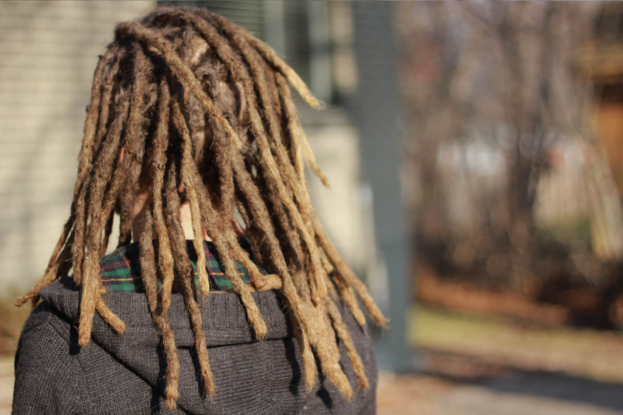 Back view of williams dreadlocks, brunette mix blonde guy with nice looking dreadlocks in Montreal.